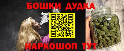индика Беслан