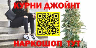 индика Беслан