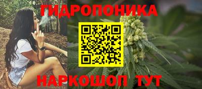 индика Беслан