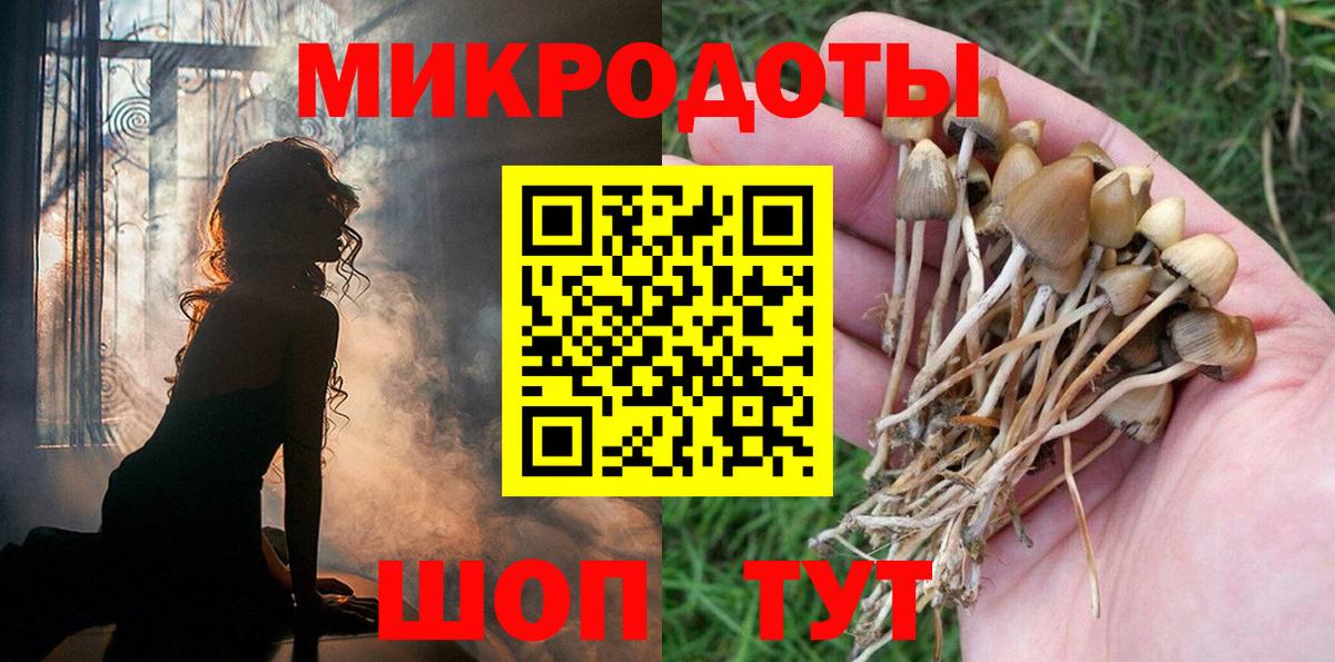 Галлюциногенные грибы мухоморы  Вход с VPN  Кизилюрт 